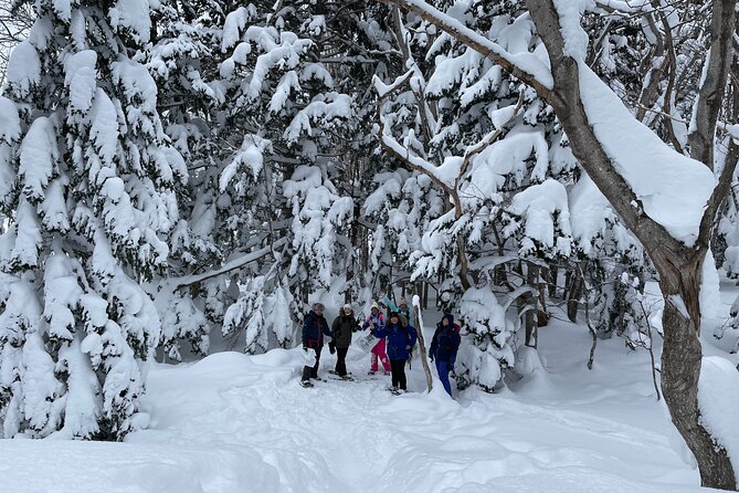 Private Snow Shoe Tour in Shiretoko National Park - Changes and Cut-off Times