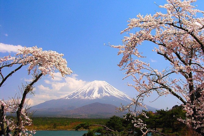 Private Transport Mt Fuji and Hakone 1 Day Trip - Common questions