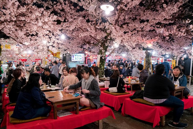 Private & Unique Kyoto Cherry Blossom "Sakura" Experience - The Sum Up