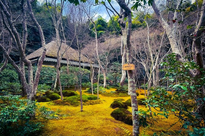Private Van - Deep Kyoto & Arashiyama Tour (Full-English Guide) - Itinerary