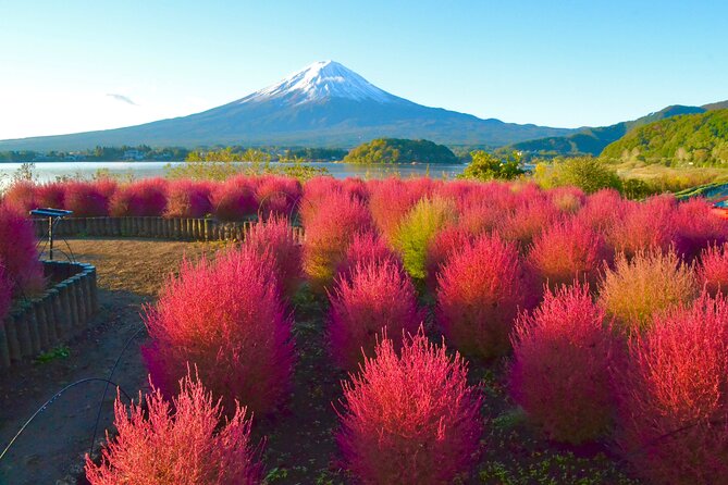 Recorrido De Día Completo Al Monte Fuji. - Multilingual Guides and Language Options