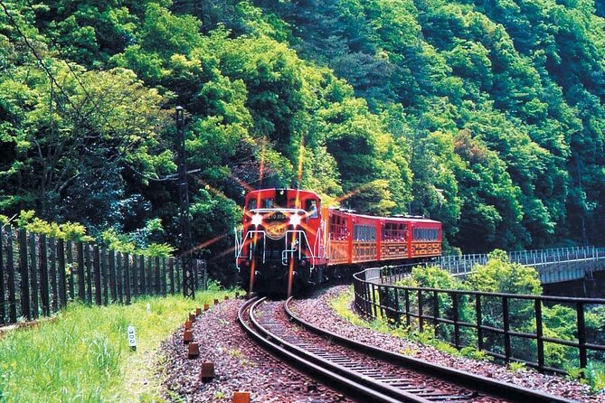 Sagano Romantic Train & Arashiyama, Kiyomizudera, Fushimi Inari Taisha Day Tour - Feedback on the Tour Guide and Enjoyment of the Tour