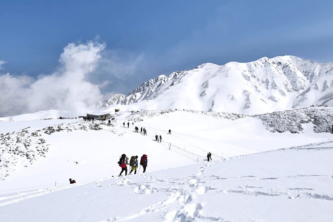 (Spring Only) 1-Day Snow Walls of Tateyama-Kurobe Alpine Route Tour - Tour Accessibility