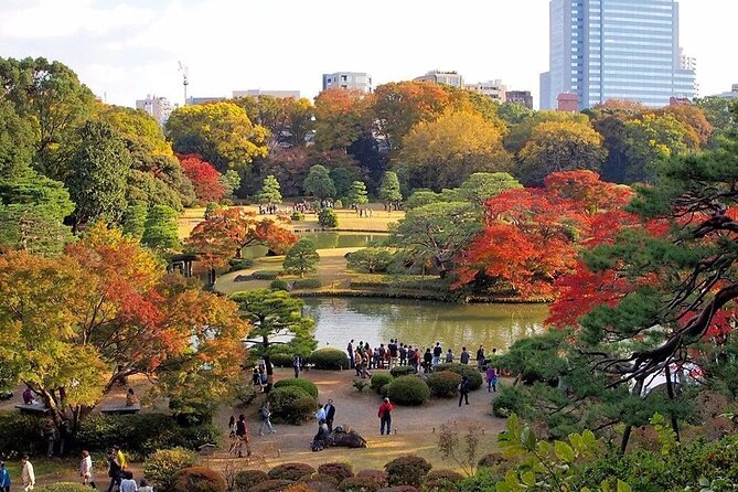 Tokyo Self-Guided Audio Tour - Language Options and Attractions