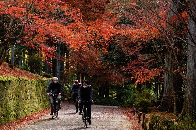 Traditional Kyoto Full-Day Bike Tour and Optional Sake Tasting - The Sum Up