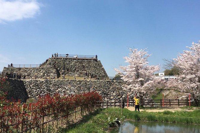 Yamato-Koriyama Castle and Goldfish Small-Group Tour From Nara - Overall Rating
