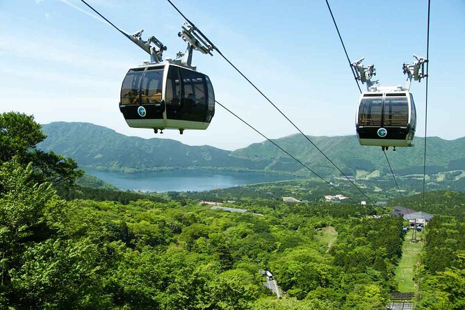 1 Day Private Tour in Mt.Fuji and Hakone English Speaking Driver - Customer Reviews