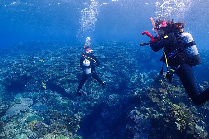 2-Day Private Deluxe Certification Course for Scuba Diving - The Sum Up