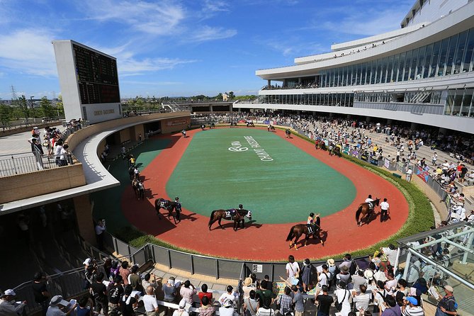A Tour to Enjoy Japanese Official Gambling (Horse Racing, Bicycle Racing, Pachinko) - More Information and Booking Details