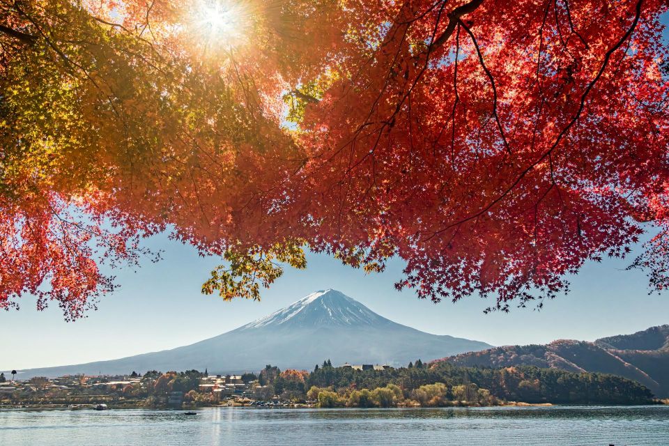 From Tokyo: Hakone, Owakudani, & Lake Kawaguchi Day Tour - Select Participants and Date