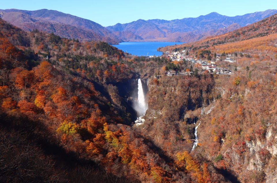 From Tokyo: UNESCO Shrine and Nikko Scenic Spots Bus Tour - Customer Reviews and Ratings