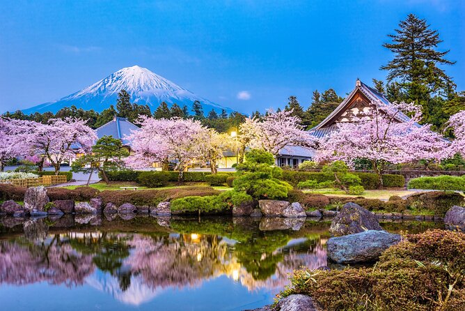 Full Day Private Fuji Tour With English Driver & Muslim Friendly - Muslim-Friendly Services