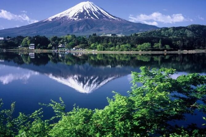 Full Day Private Tour To Mount Fuji Assisted By English Chauffeur - The Sum Up