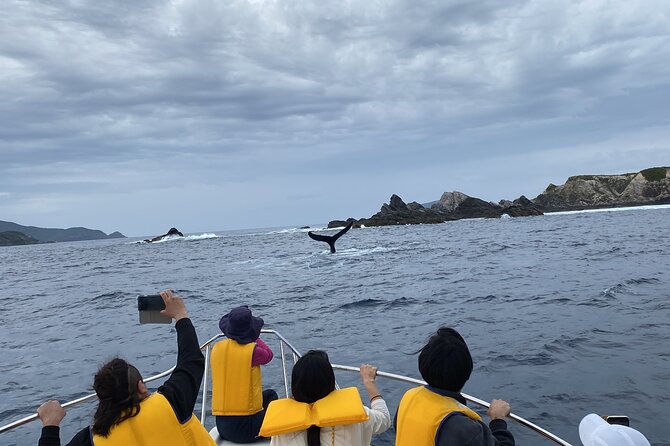 Great Whale Watching at Kerama Islands and Zamami Island - The Sum Up