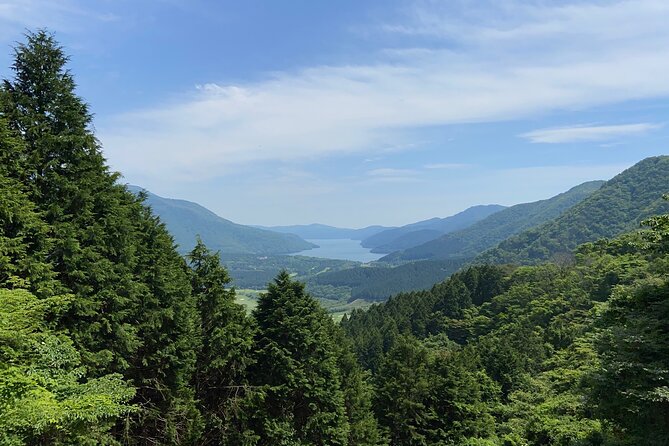 Hakone Old Tokaido Road and Volcano Half-Day Hiking Tour - Additional Information and Contact