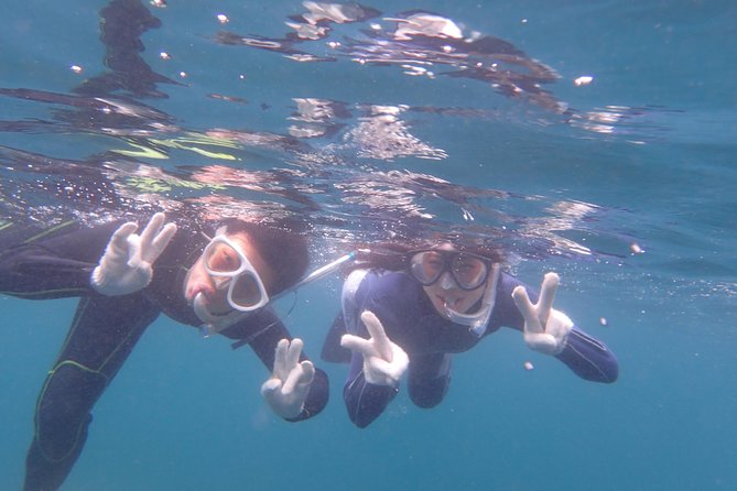 Half-Day Snorkeling Course Relieved at the Beginning Even in the Sea of Izu, Veteran Instructors Wil - Frequently Asked Questions