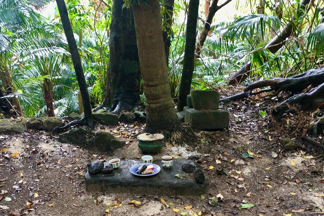 Half-Day Walking Tour to Indigenous Iriomote Village  - Iriomote-jima - Additional Information and Resources
