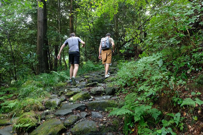 Hike Japan Heritage Hakone Hachiri With Certified Mountain Guide - Frequently Asked Questions
