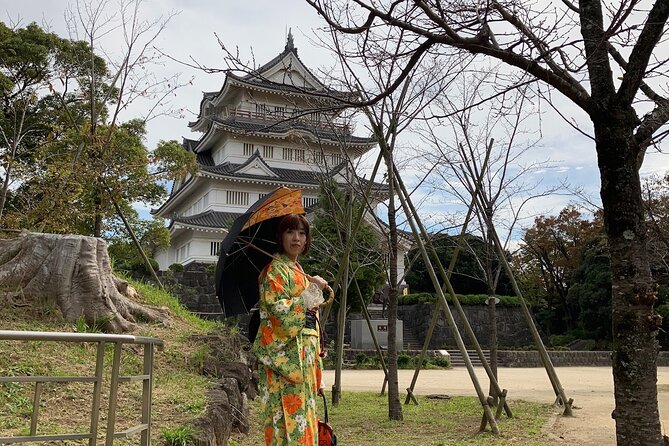 Kimono Dressing & Tea Ceremony Experience at a Beautiful Castle - Key Highlights