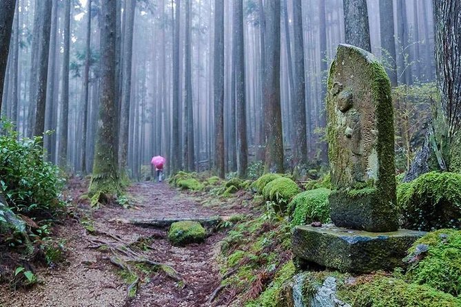 Kumano Kodo Pilgrimage Full-Day Private Trip With Government Licensed Guide - The Sum Up