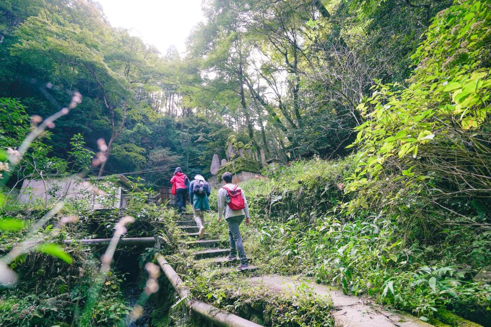 Kyoto: 3-Hour Fushimi Inari Shrine Hidden Hiking Tour - Important Information