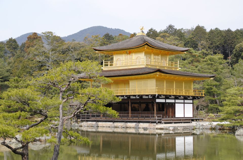 Kyoto: Personalized Guided Private Tour - Positive Customer Reviews and Ratings