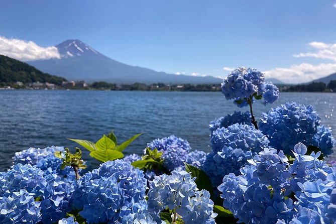 Lake Kawaguchiko Bike Tour - Response From Host to Reviews