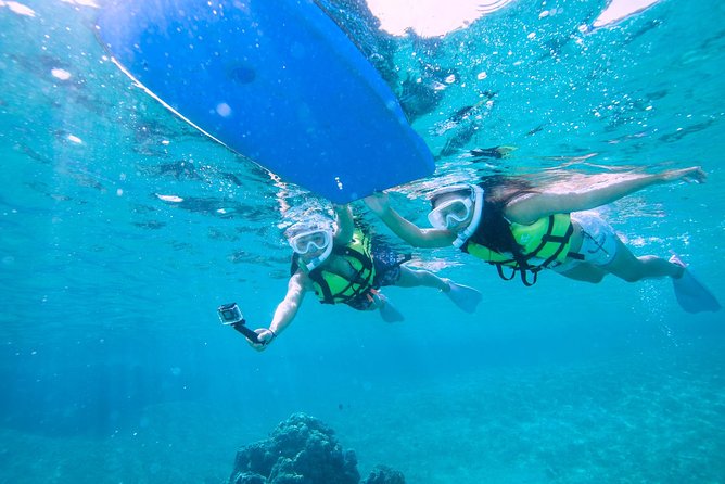 Miyakojima / Snorkel Tour to Swim With Sea Turtles - The Sum Up