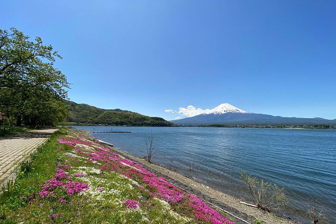 Mt Fuji Full-Day Tour By Car - The Sum Up