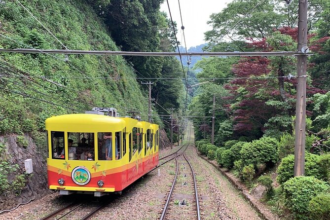 Mt.TAKAO Trekking 1 Day Tour - Tips for a Memorable Mt.TAKAO Trekking Experience