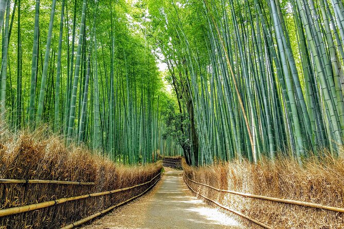 Private Arashiyama Walking Tour: Bamboo, Monkeys & Secrets - Tips and Recommendations for the Tour