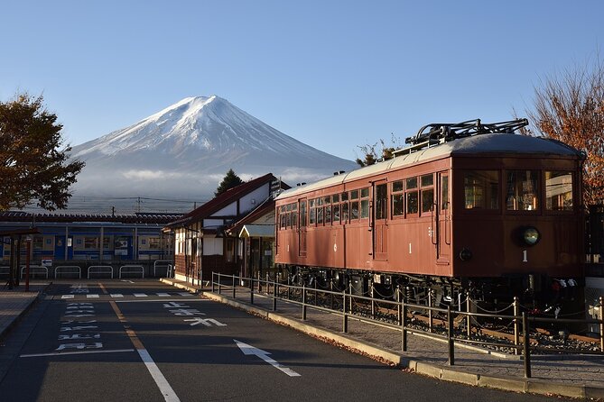 Private Mt Fuji, Hakone and Tokyo Tour With Bilingual Chauffeur - Mt. Fuji 5th Station and Weather Conditions