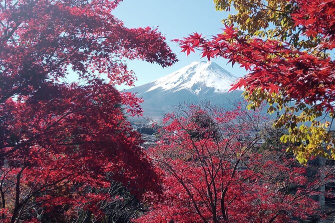 Private Sedan One-Day Mount Fuji Tour - Tour Experience