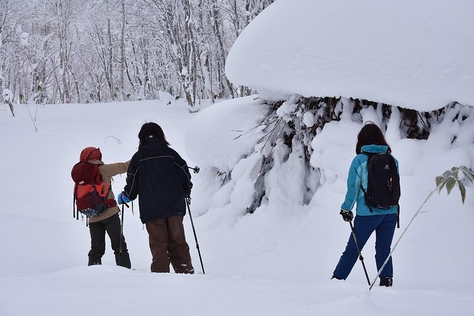 Snowshoe Hike Tour From Sapporo - Common questions