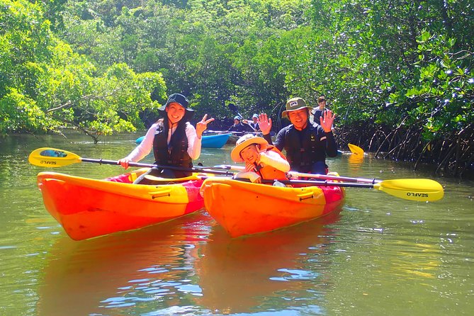 SUP/Canoe Tour In Mangrove Forest in Iriomote Okinawa - Frequently Asked Questions