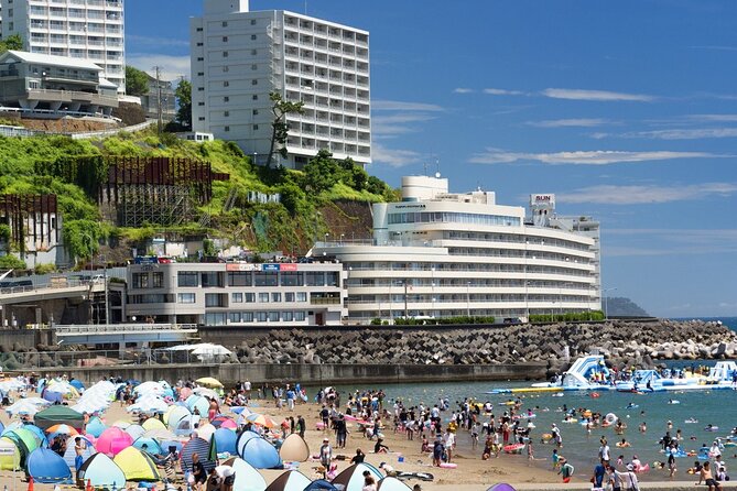 Atami Half-Day Private Tour With Government-Licensed Guide - Pricing Details