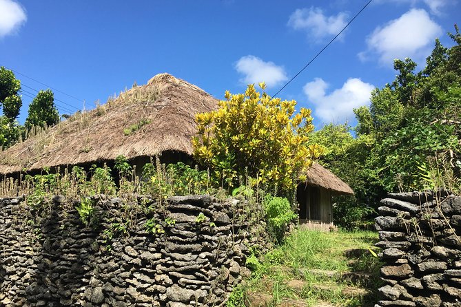 Half-Day Walking Tour to Indigenous Iriomote Village  - Iriomote-jima - Pricing and Booking Details