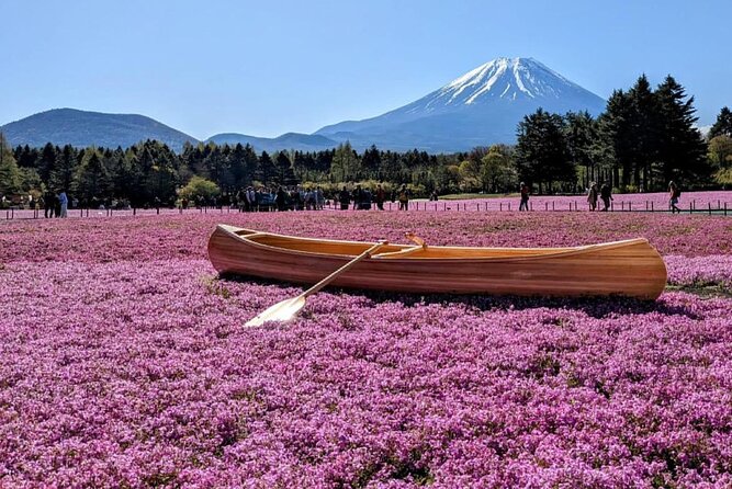 Mt Fuji, Hakone Private Tour by Car With Pickup - The Sum Up