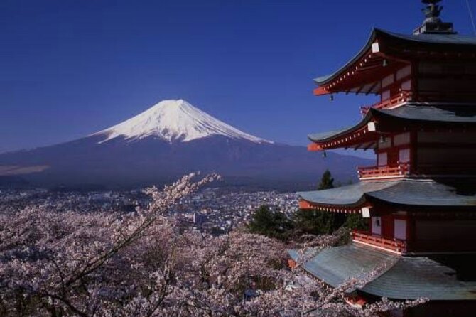 Mt Fuji Private Tour With English Speaking Driver - The Sum Up