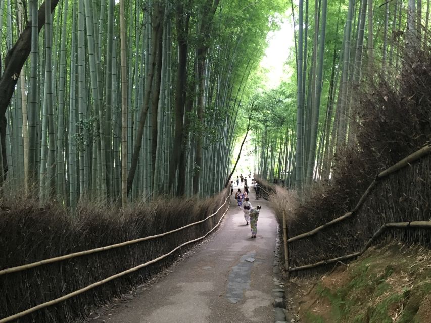 Kyoto: Arashiyama Bamboo Forest Walking Food Tour - Frequently Asked Questions