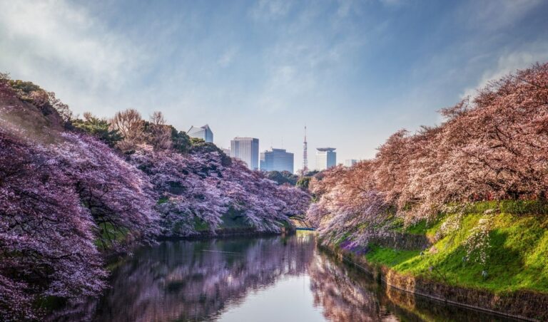 50 Things To Do in Tokyo