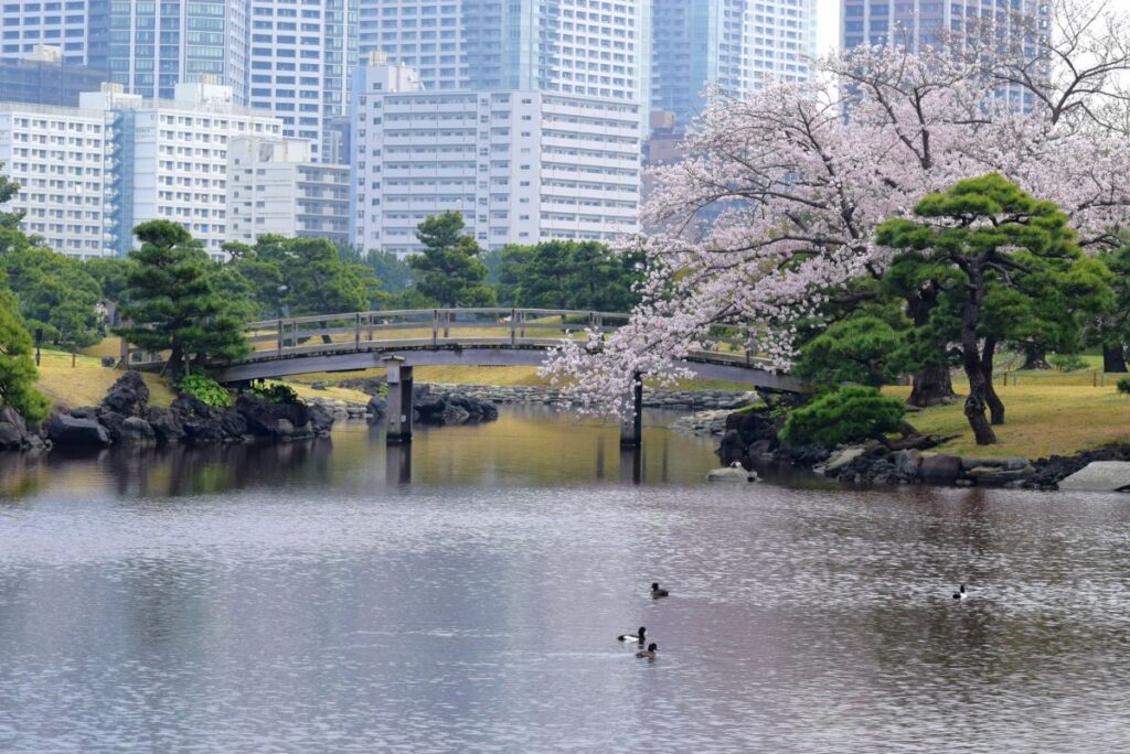 Hamarikyu Gardens