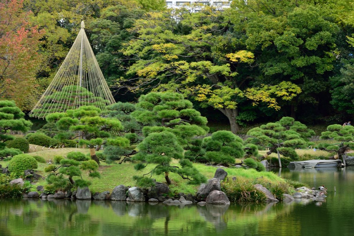 10 Best Japanese Gardens In Tokyo