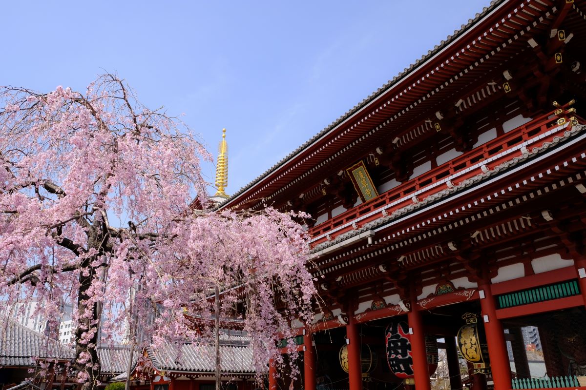 21 Things To Do In Asakusa: Geisha, Temples & Taiyaki