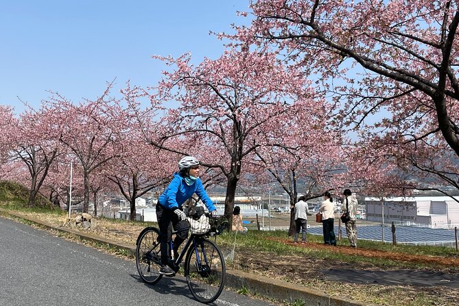 Akagi 100km Circle E-Bike Tour With Onsen Stay - Quick Takeaways