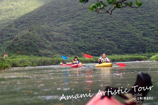 Amami Mangrove Canoe - Quick Takeaways