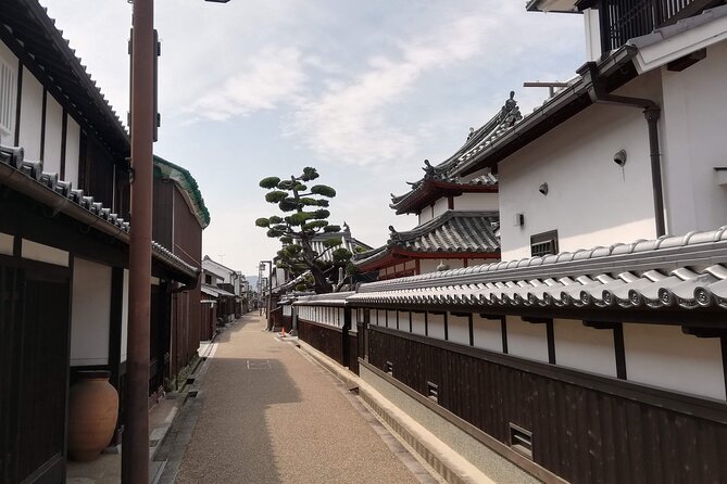 Ancient Nara Walking and Cycling Tour in Asuka - Quick Takeaways