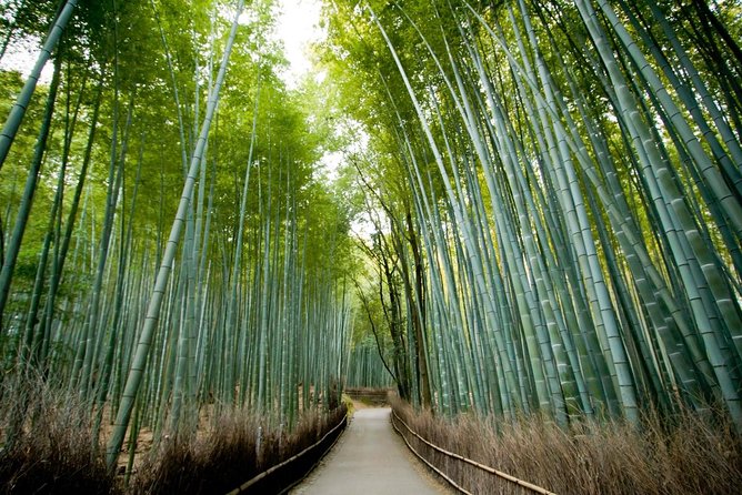 City Escape: Arashiyama Park Private Day Trip - Quick Takeaways