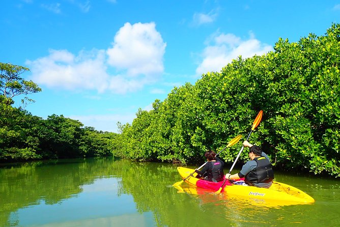 Miyara River 90-Minute Small-Group SUP or Canoe Tour  - Ishigaki - Tour Requirements and Restrictions