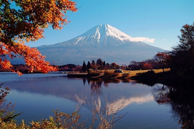 Hakone 6 Hour Private Tour With Government-Licensed Guide - Tour Details